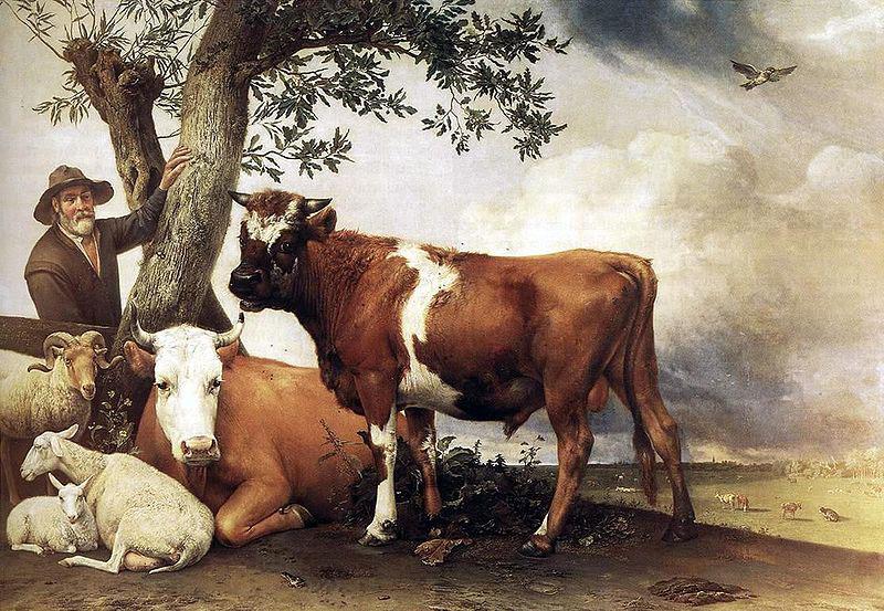 paulus potter The bull.